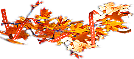 5c6f18691_1.png